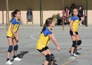 voley 24